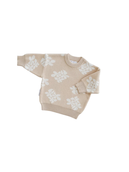 Knit Pullover | Banksy