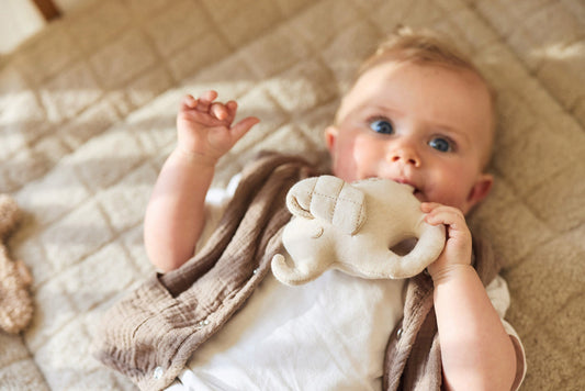 Rassel Elephant Tales