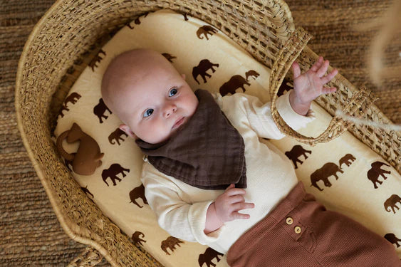 Bib Bandana 2pack | Wrinkled Chestnut